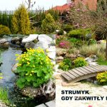 STRUMYK (2)